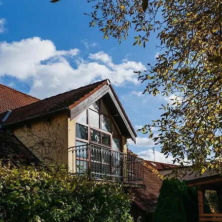 ゲストハウス Penzion V Holi