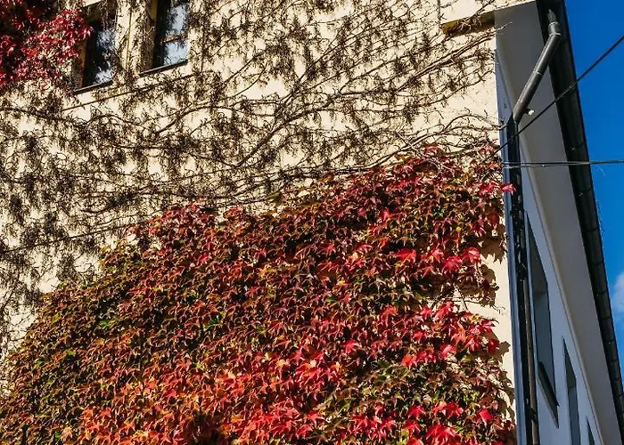 ゲストハウス Penzion V Holi *