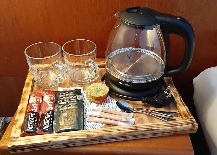 ゲストハウス Penzion V Holi *